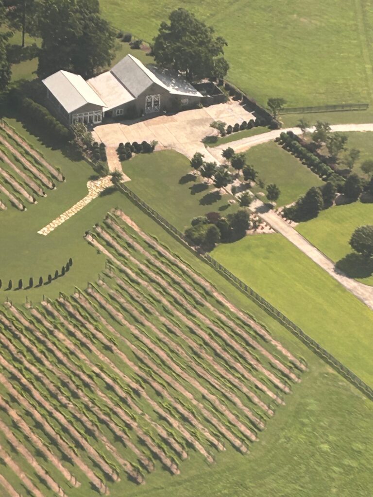Aerial view of the vineyard at a wedding venue near Atlanta.