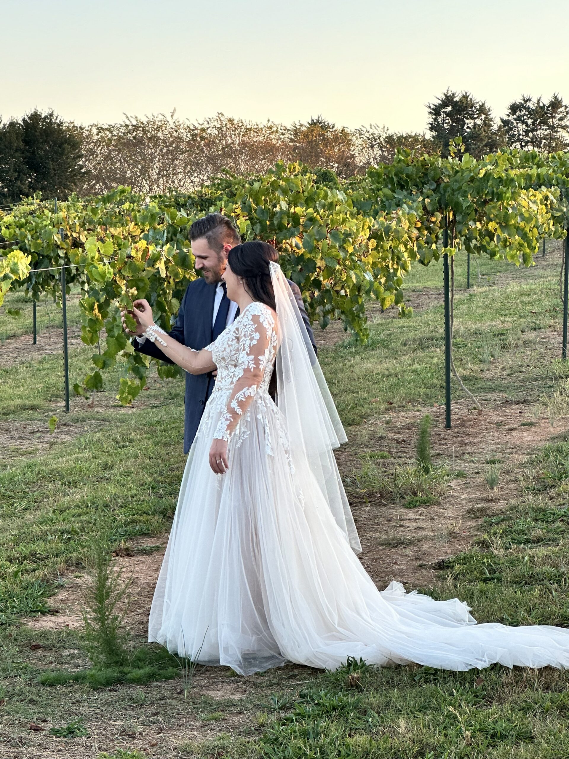 a bride and groom look at grapes growing in a wedding ceremony vineyard near Atlanta